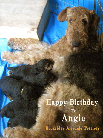 Angie 1st Litter