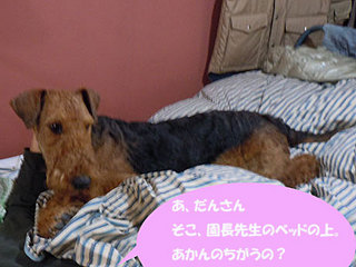 20101115_708820.jpg
