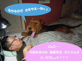 20101115_708823.jpg