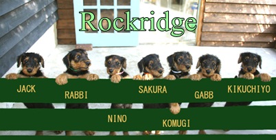 2ndlitter[1].jpg