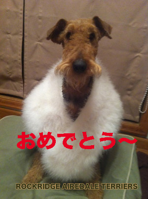 IMG_2663 ̃Rs[.jpg