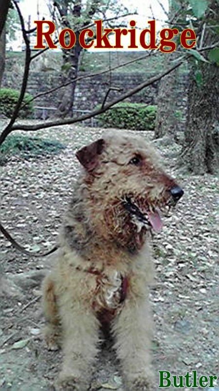 b8.jpg