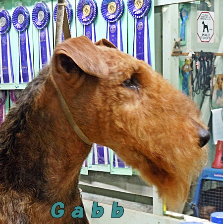 gabb.JPG
