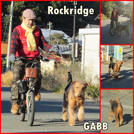 gabb.jpg