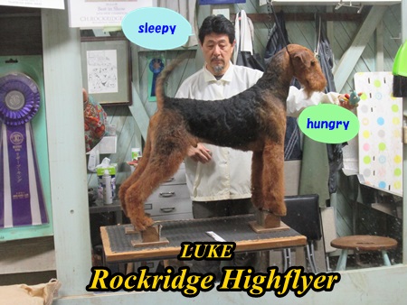 luke.JPG