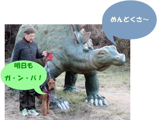 o11.JPG
